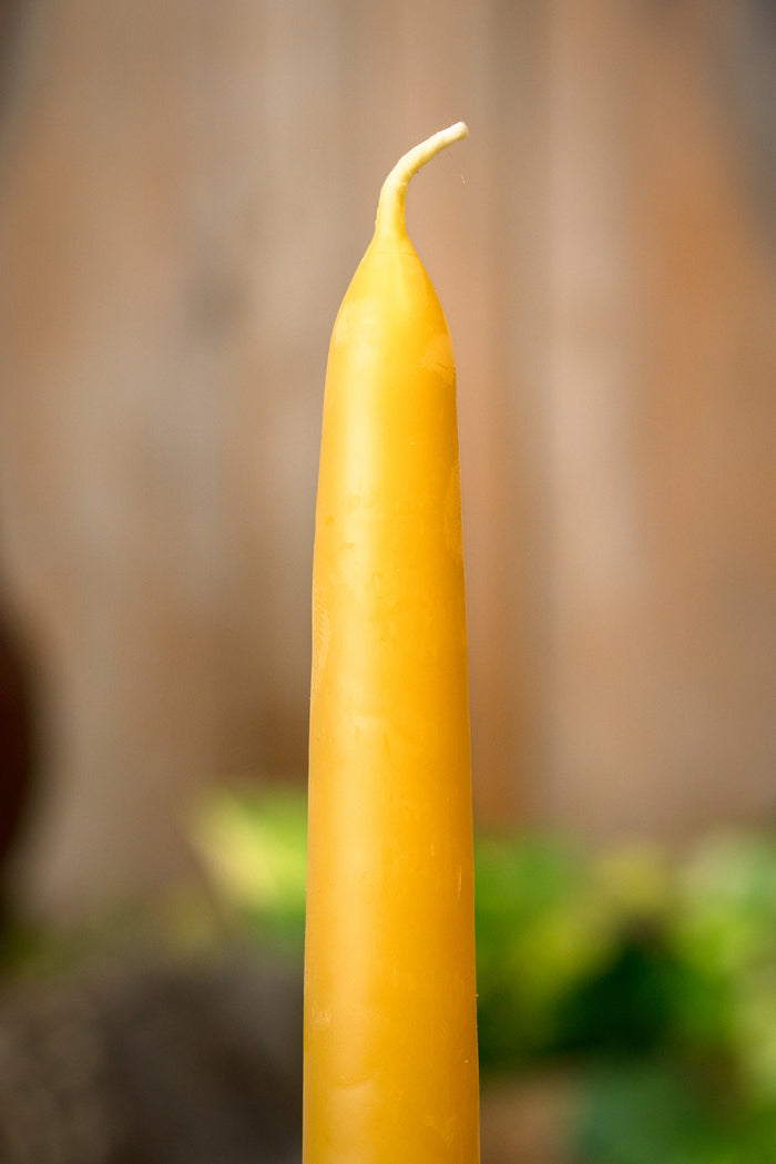 Dipped beeswax candle 24 cm, set of 7