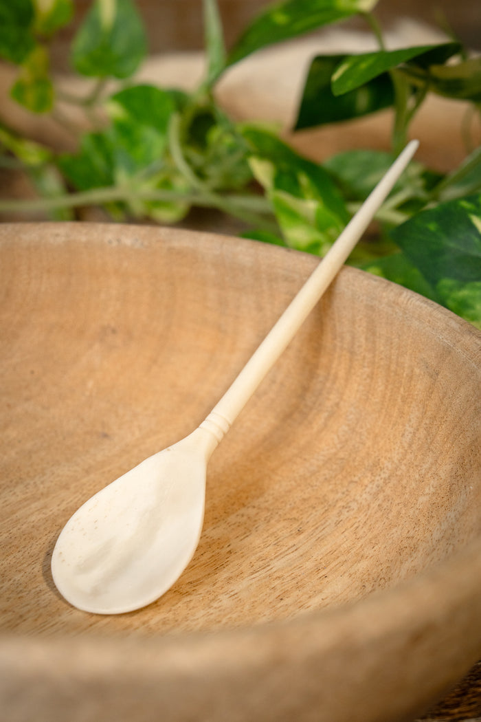 Roman spoon bone