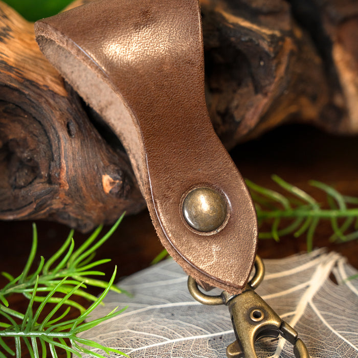 Belt holder with carabiner