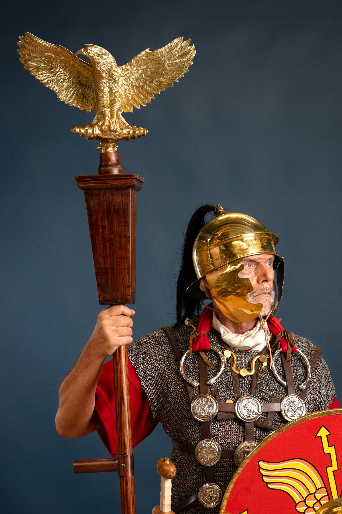 Phalerae set with torc