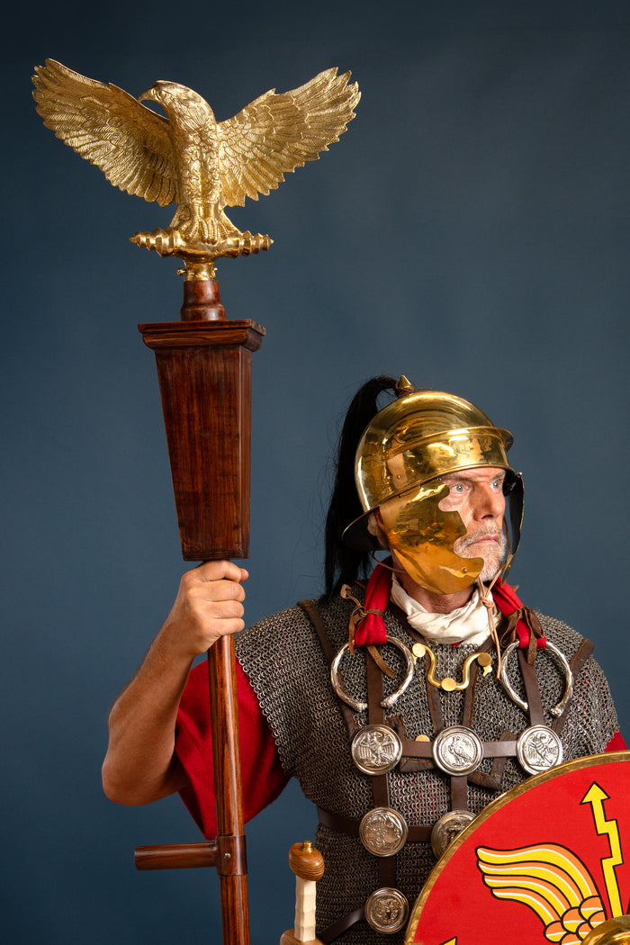 Phalerae set with torc