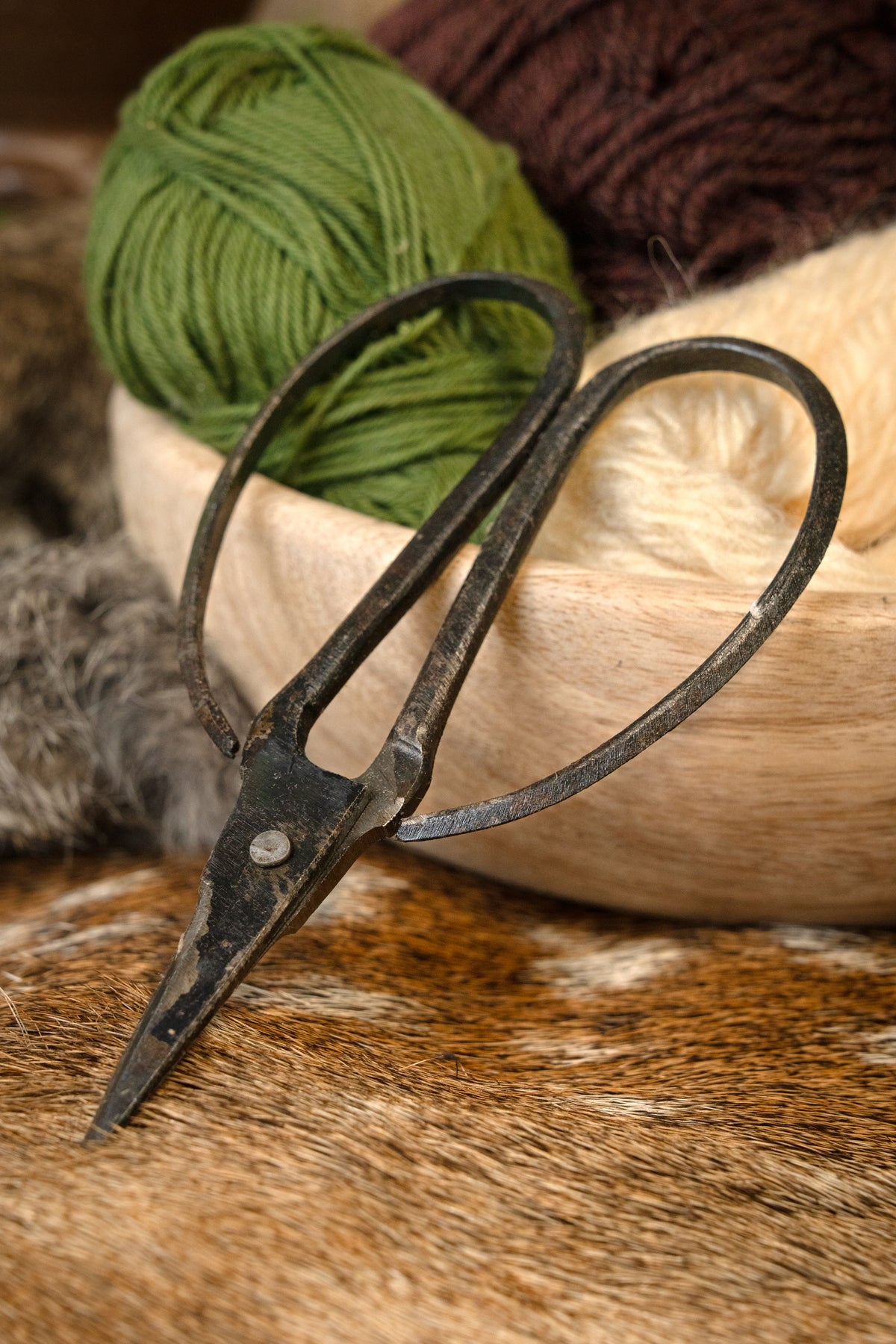 Medieval scissors, 15.5 cm