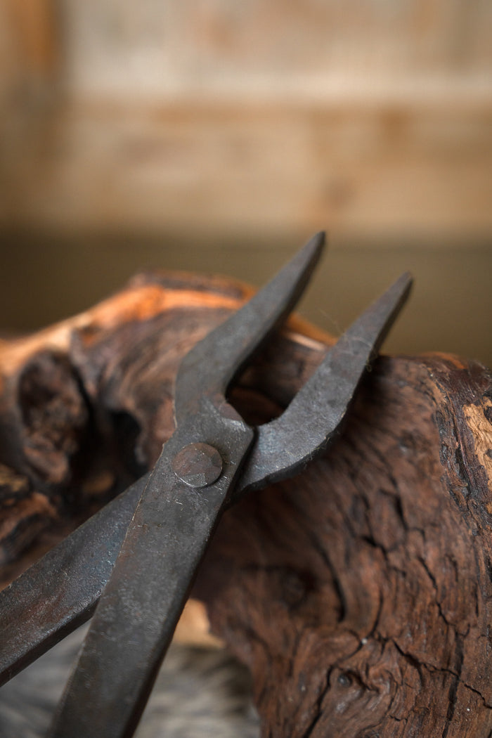 Medieval tongs