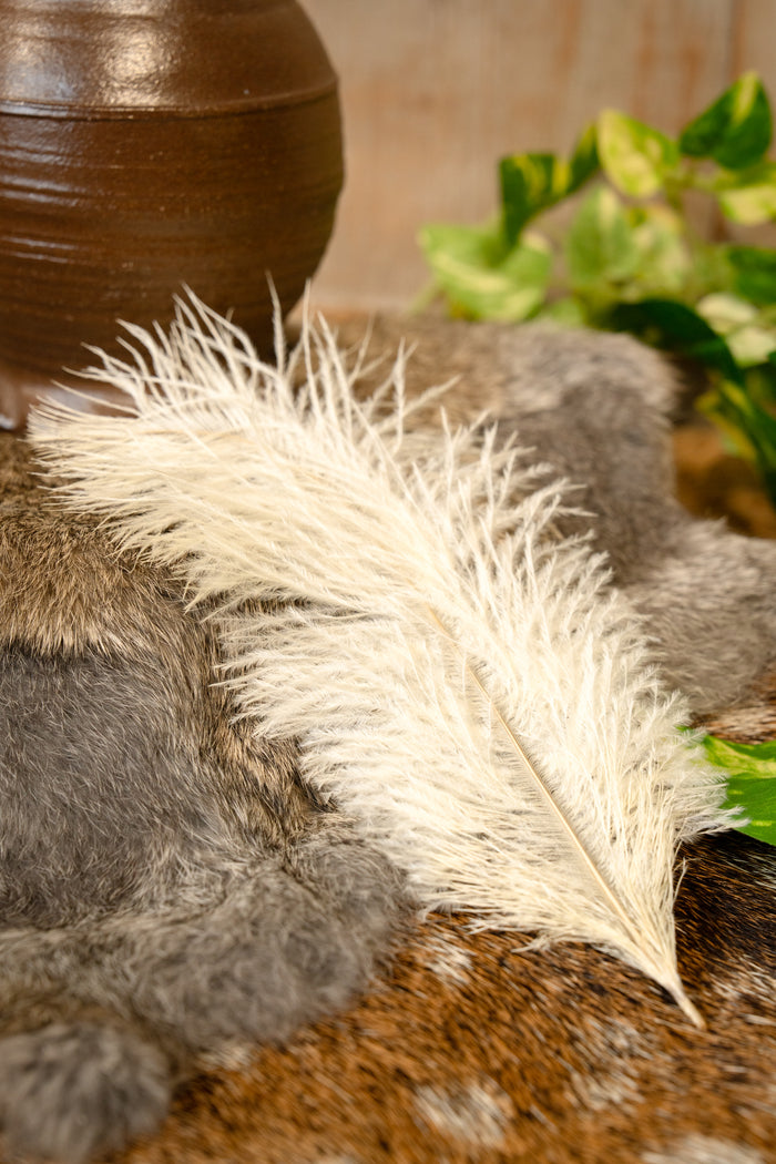 Cream feather, 20-25 cm