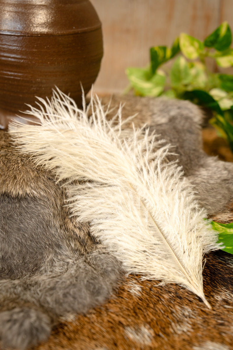 Crèmefärgad fjäder, 20 till 25 cm