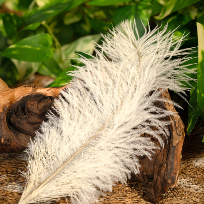 Cream feather, 20-25 cm