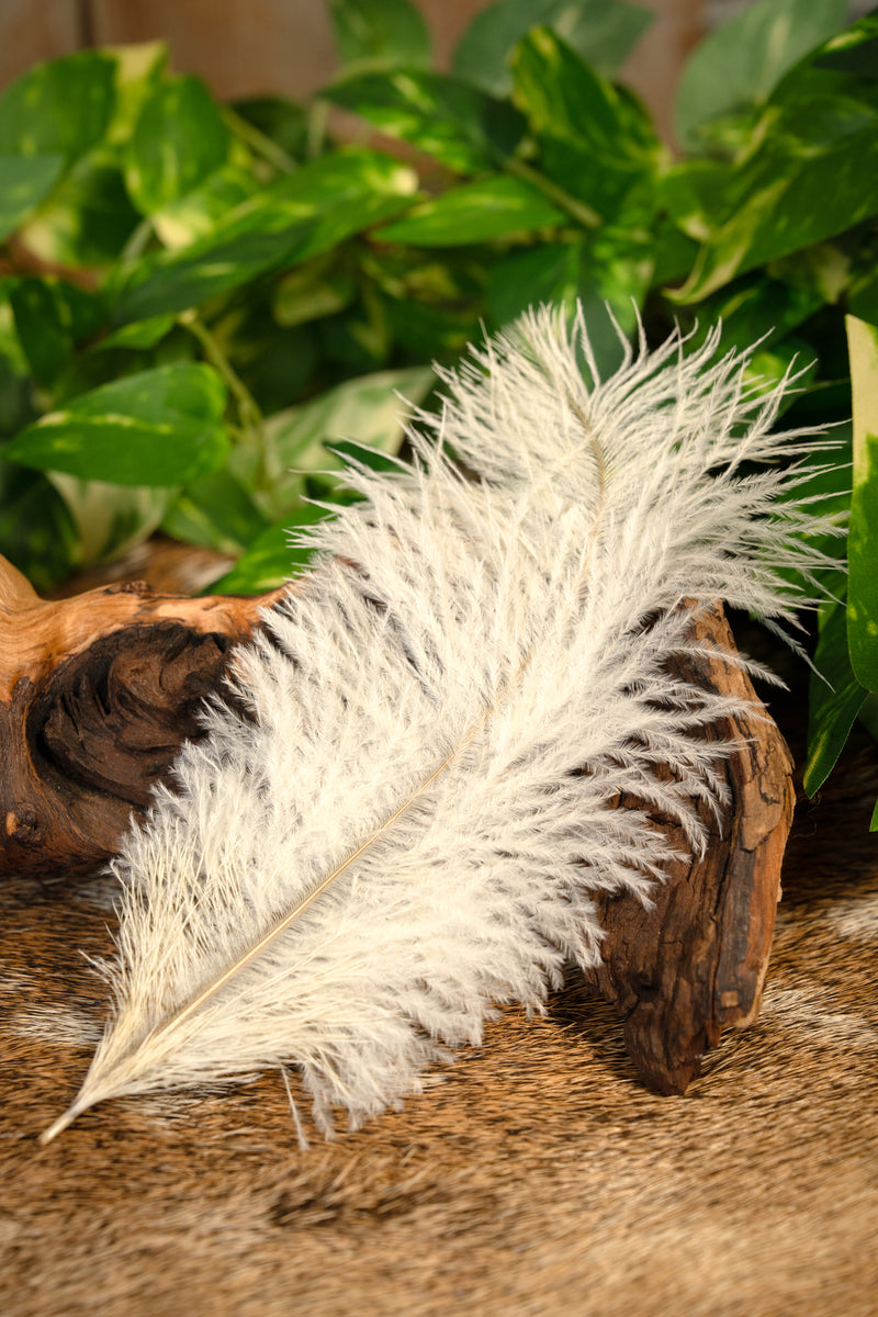 Crèmefärgad fjäder, 20 till 25 cm