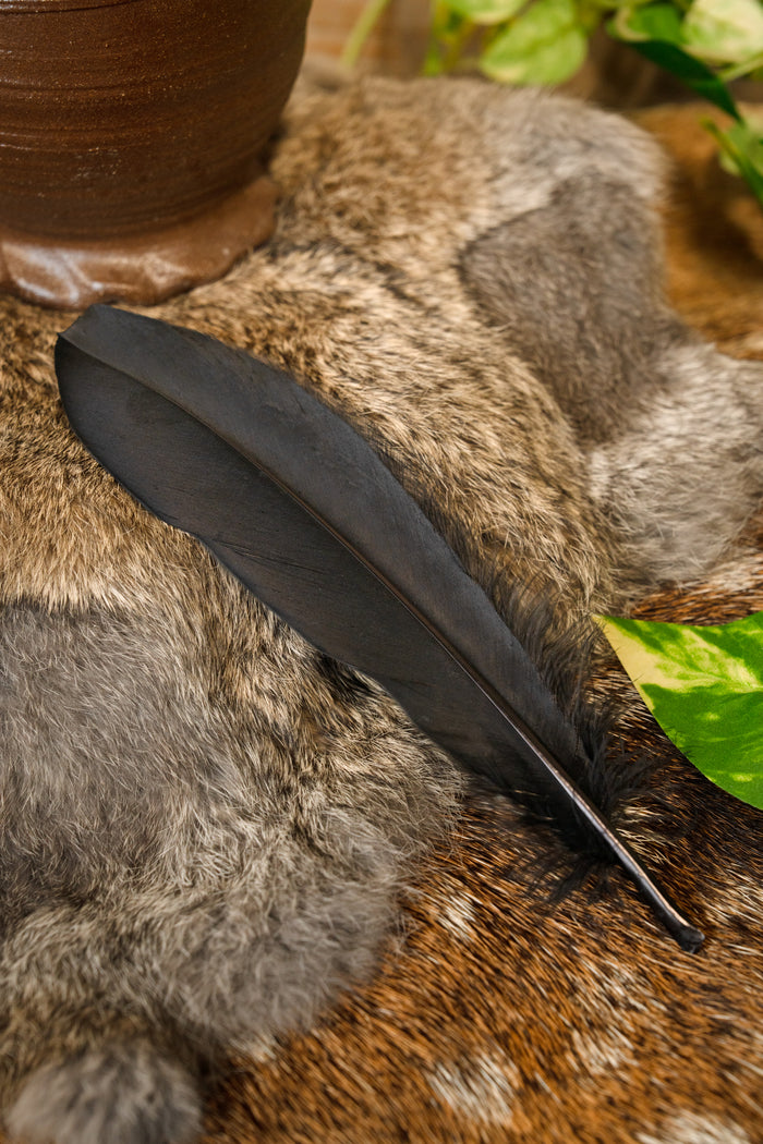 Goose feather black, 15-21 cm