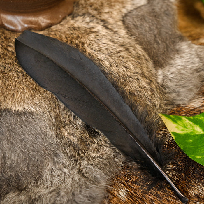 Goose feather black, 15-21 cm