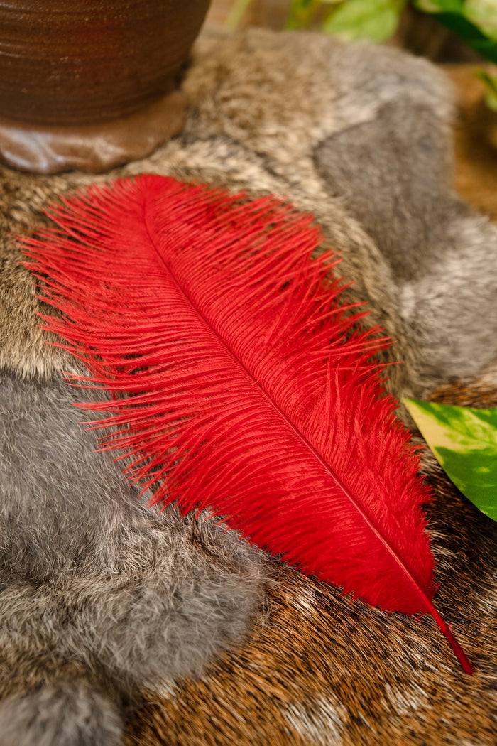 Red feather, 20-25 cm