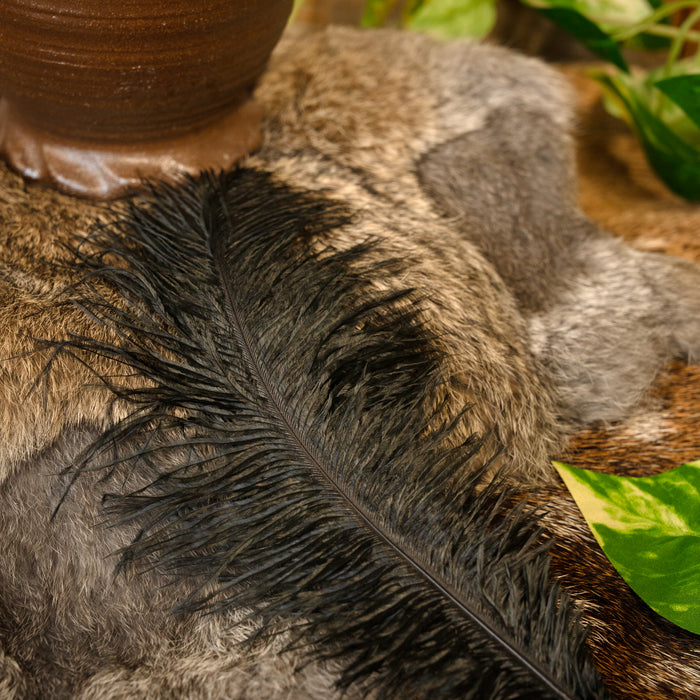 Black feather, 20-25 cm
