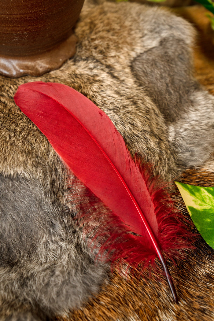 Goose feather red, 15-21 cm