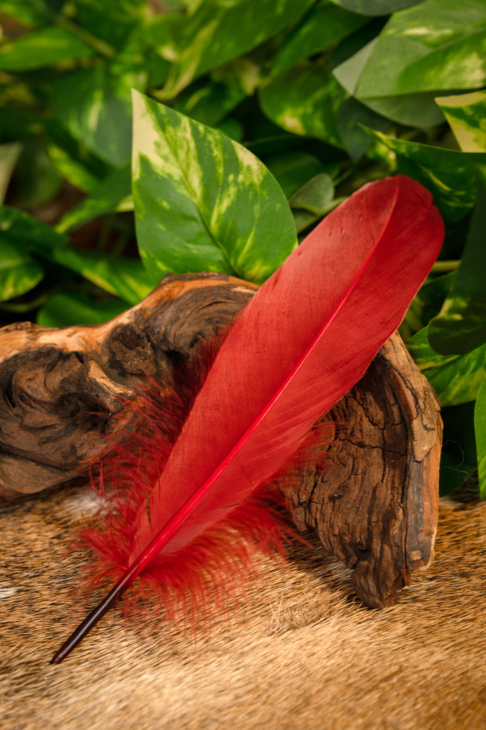 Goose feather red, 15-21 cm