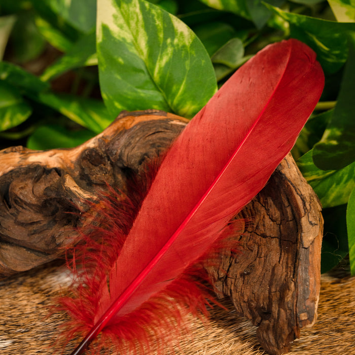 Goose feather red, 15-21 cm