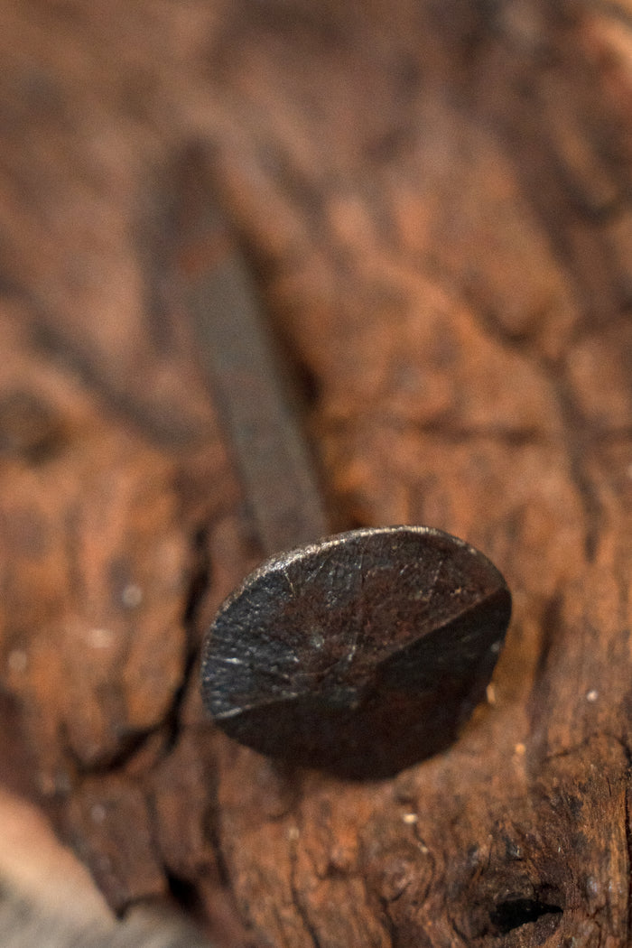 10 historical nails short