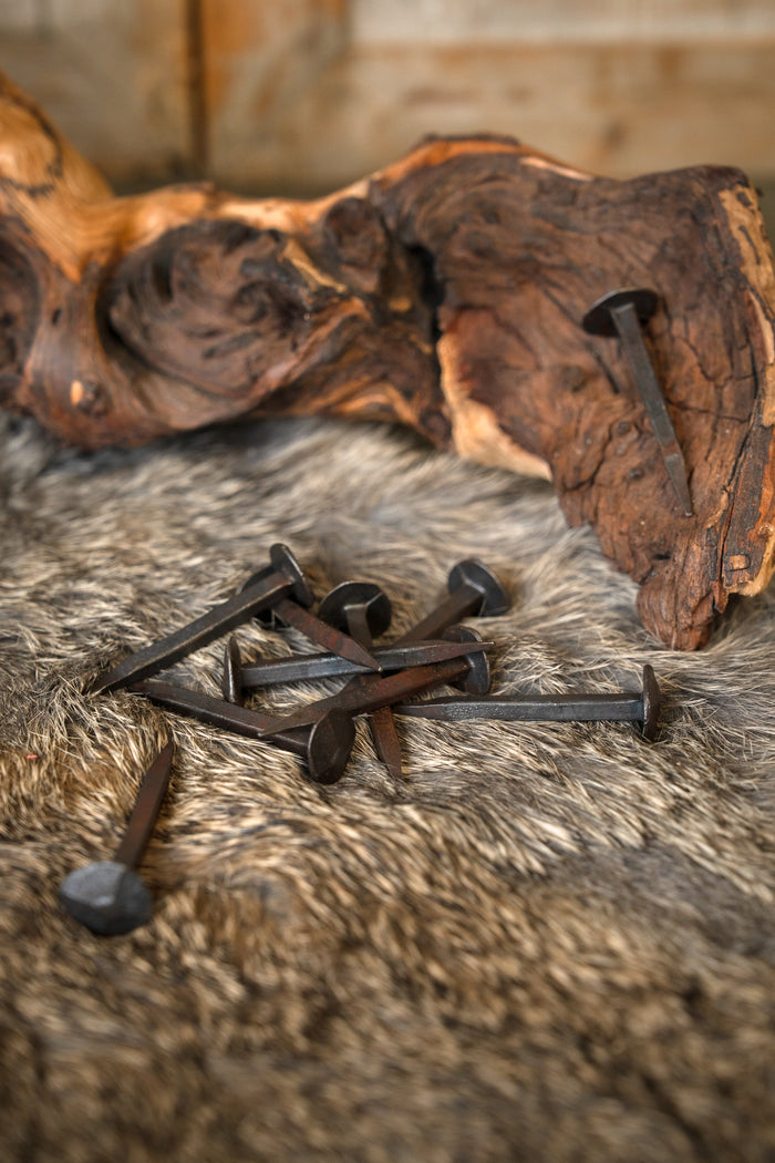 10 historical nails short