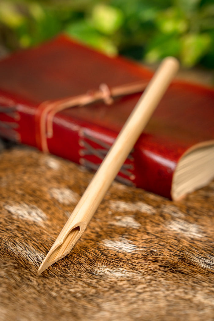 Roman calamus (writing pen)