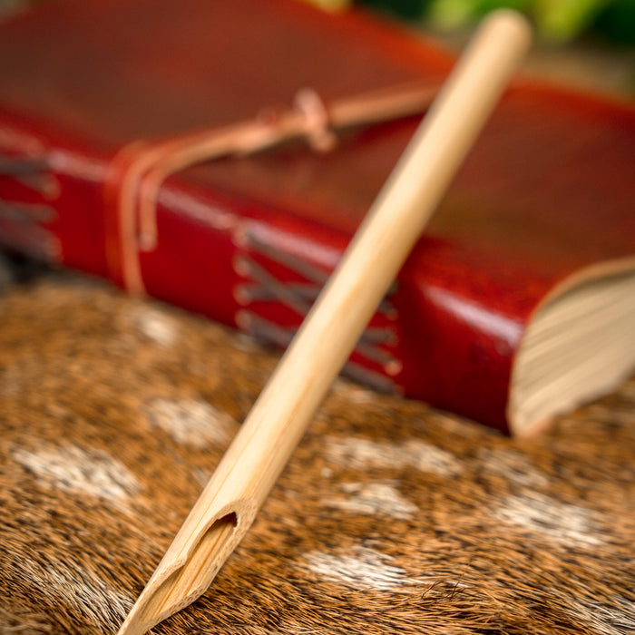 Roman calamus (writing pen)