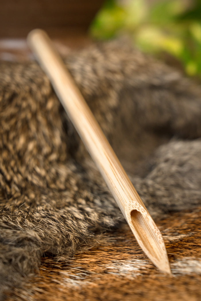 Roman calamus (writing pen)