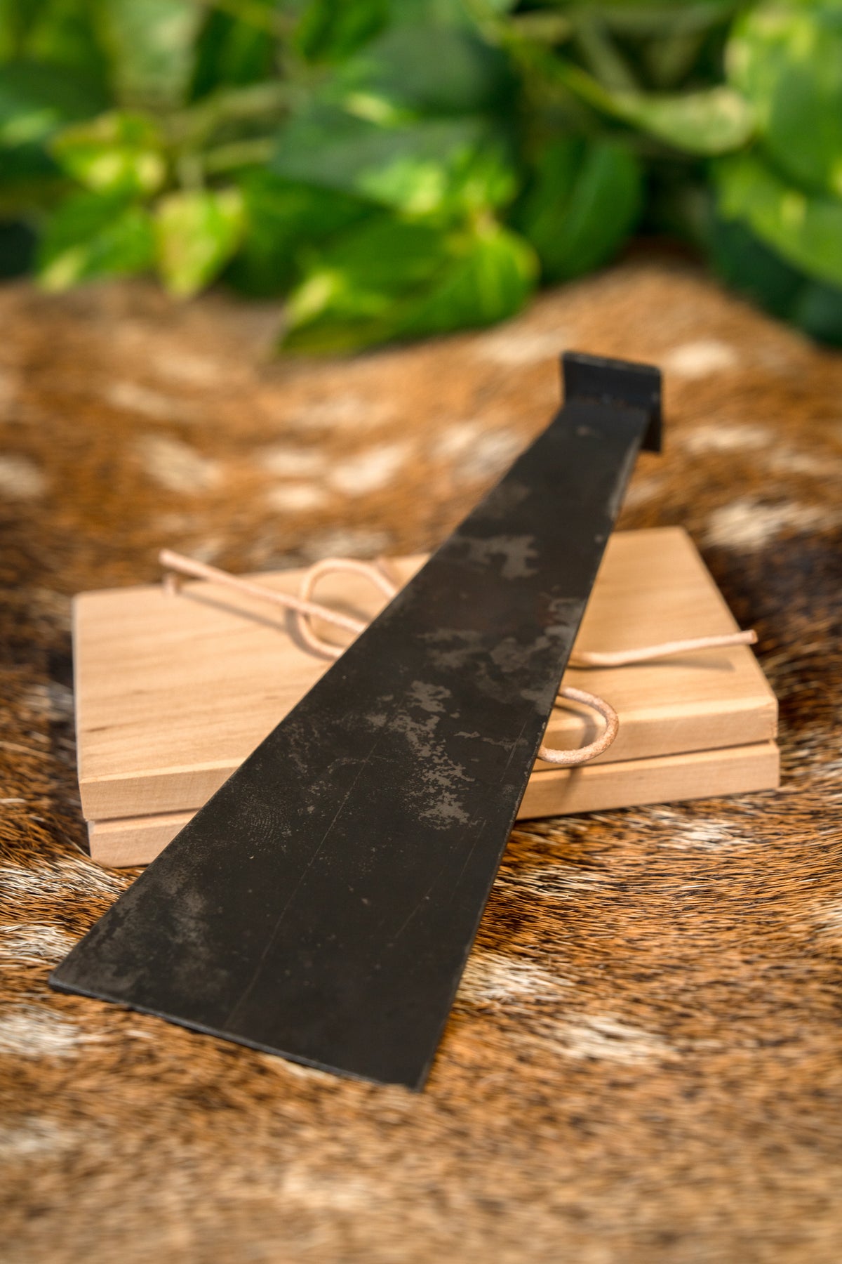 Roman wax spatula