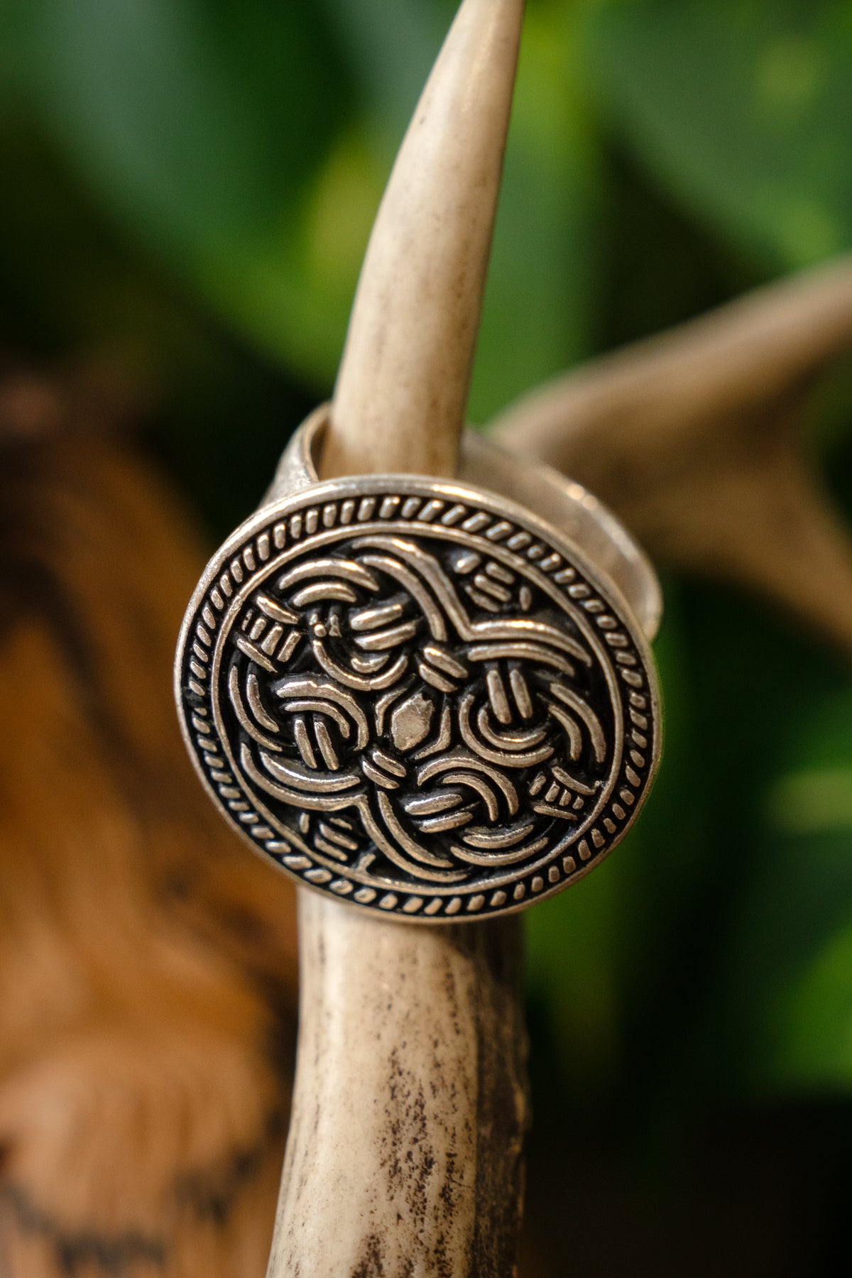 Birka Viking ring Borre style, silvered bronze
