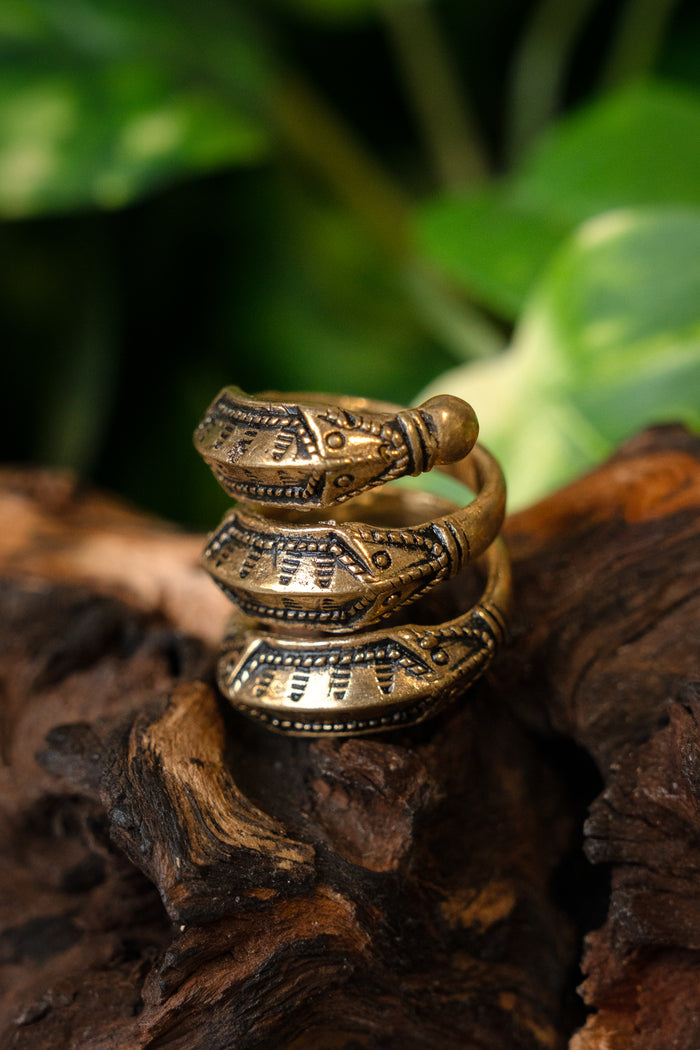 Germanic Ring Himlingoje, bronze