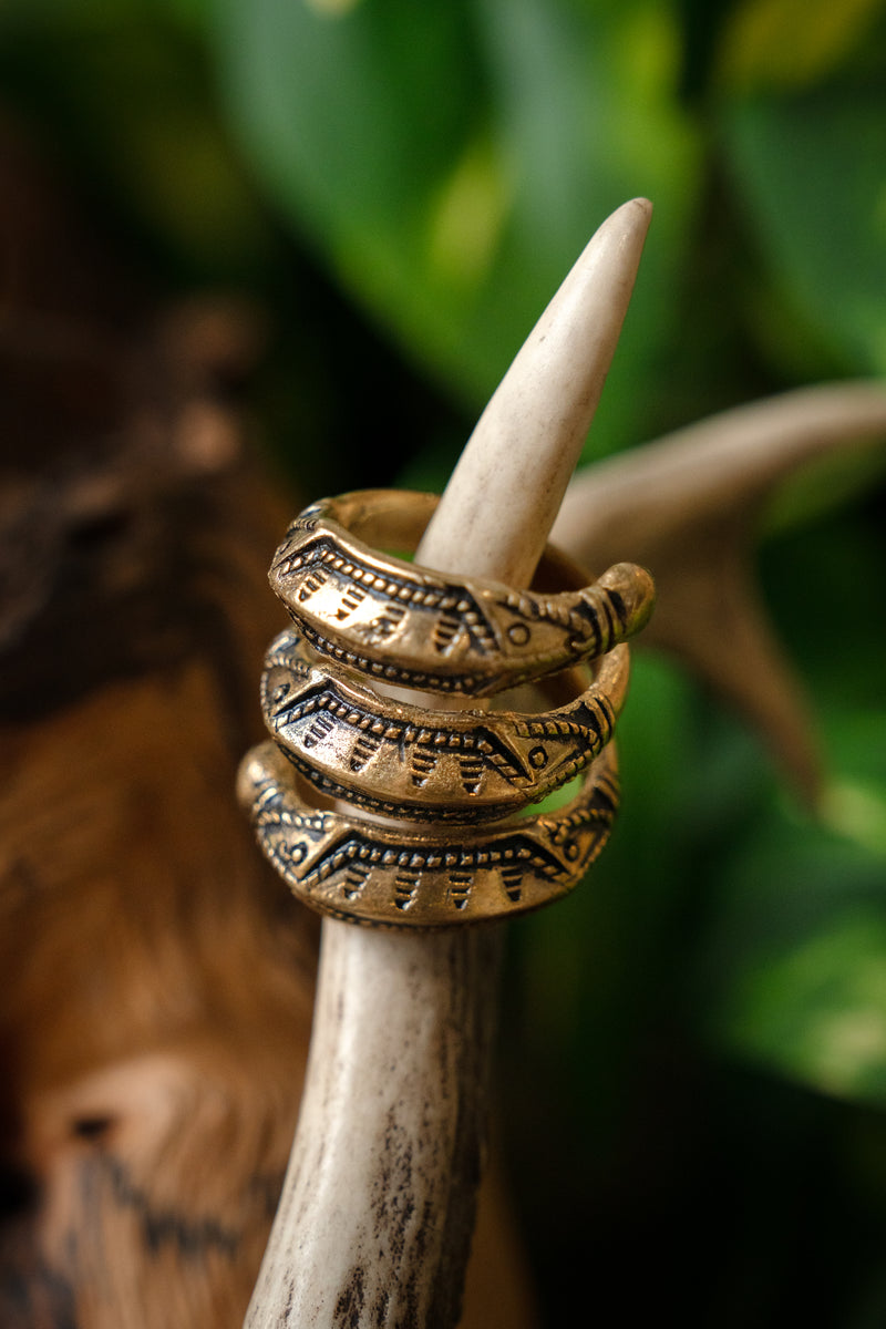 Bague de l'âge du fer Himlingoje, bronze