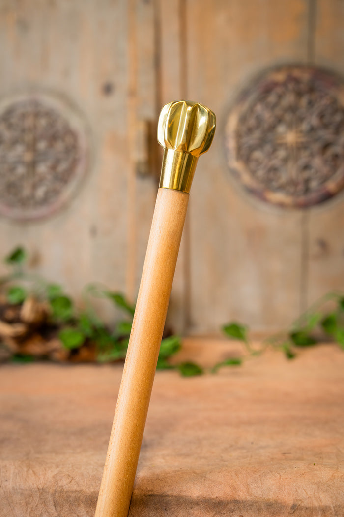 Wooden cane with mace