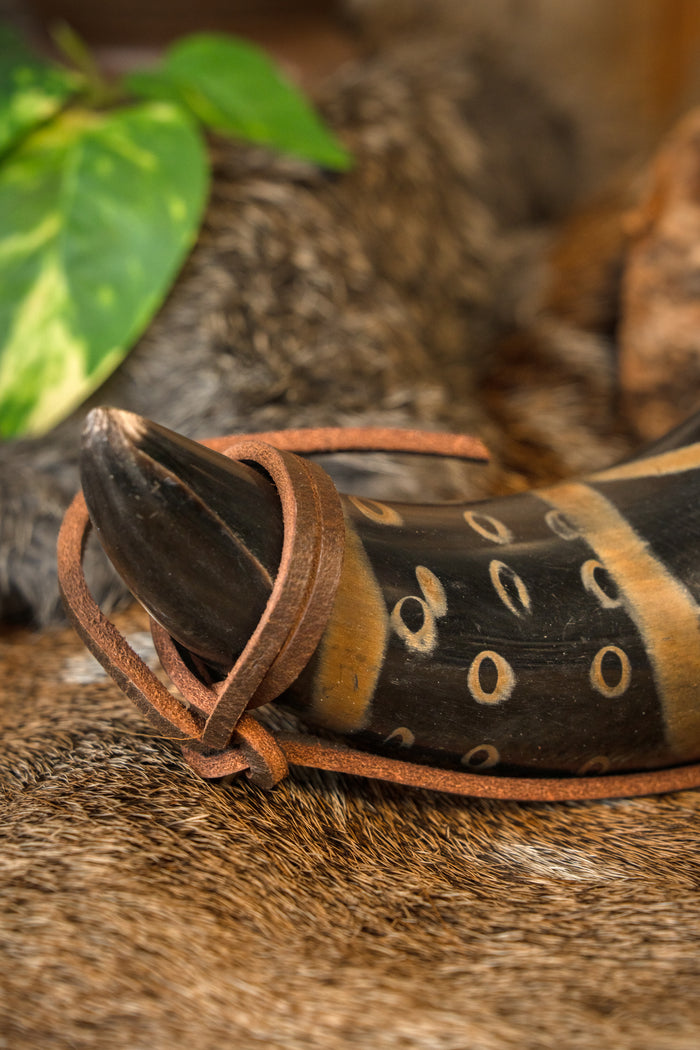 Neolithic drinking horn, 300-500 ml