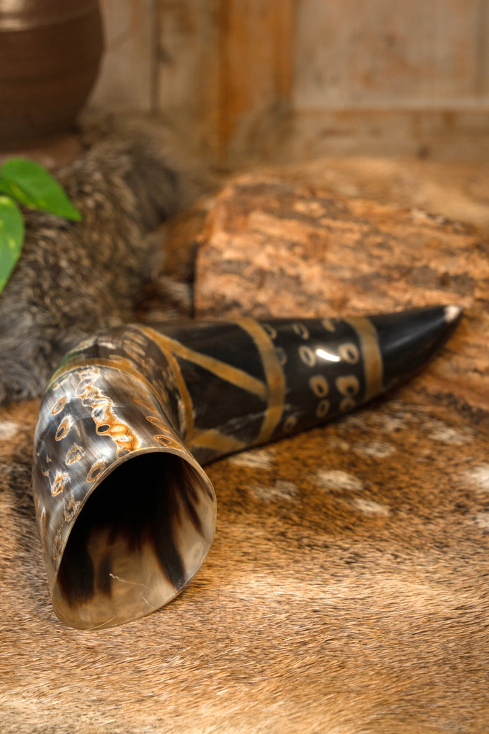 Neolithic drinking horn, 300-500 ml