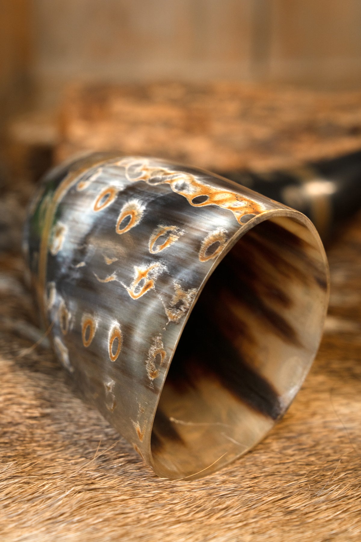 Neolithic drinking horn, 300-500 ml