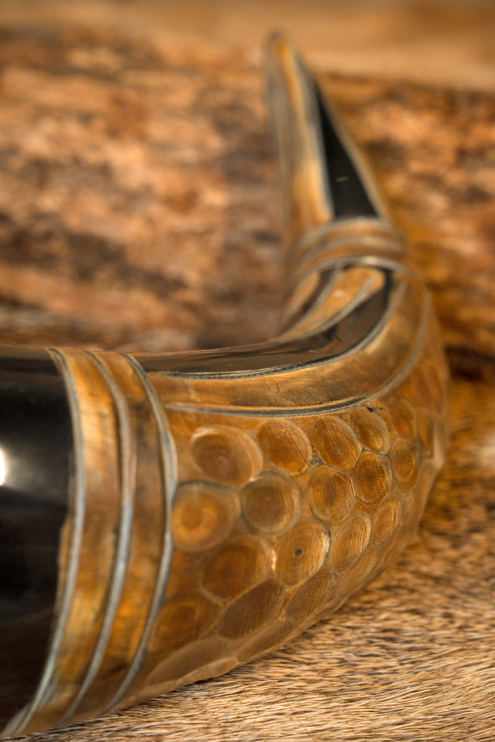 Dragon drinking horn, 500-650 ml