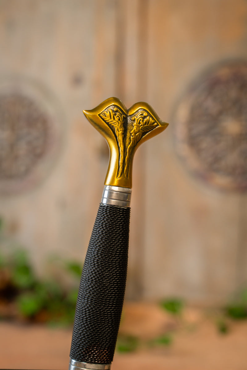 Spada di Carlo V con fodero, semi-affilata