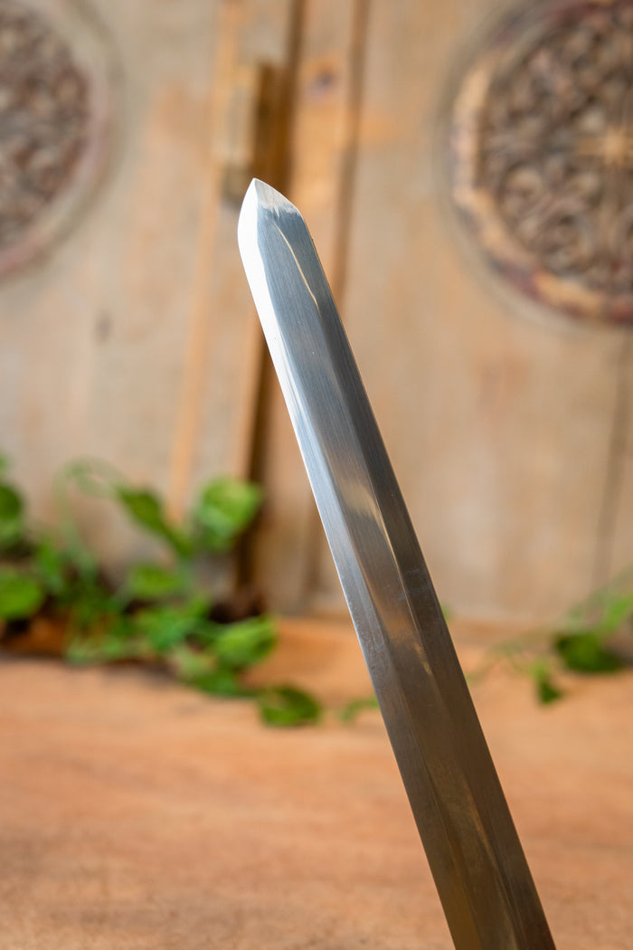 Charles V sword with scabbard, semi-sharp
