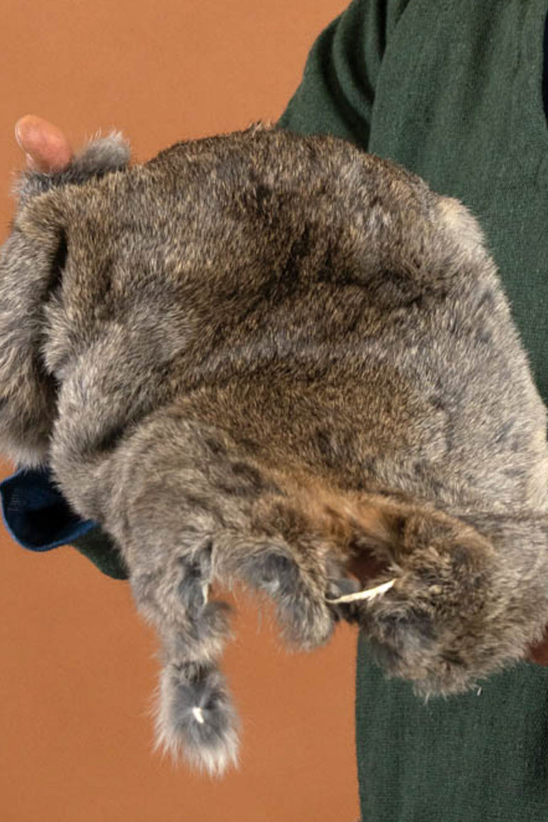 Piel de conejo – gris