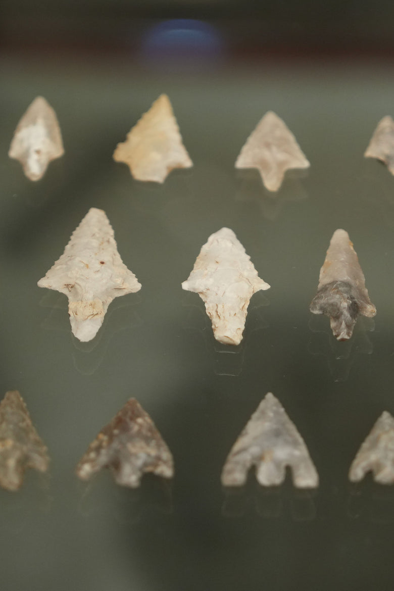 Introduction: Neolithic