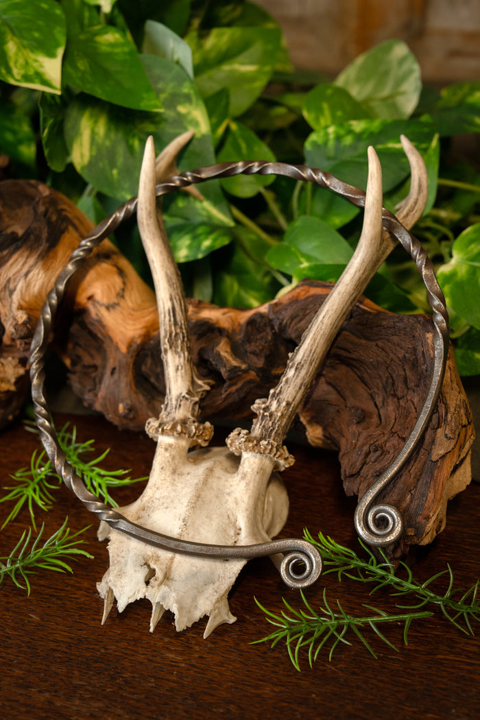 Gallic torc, iron