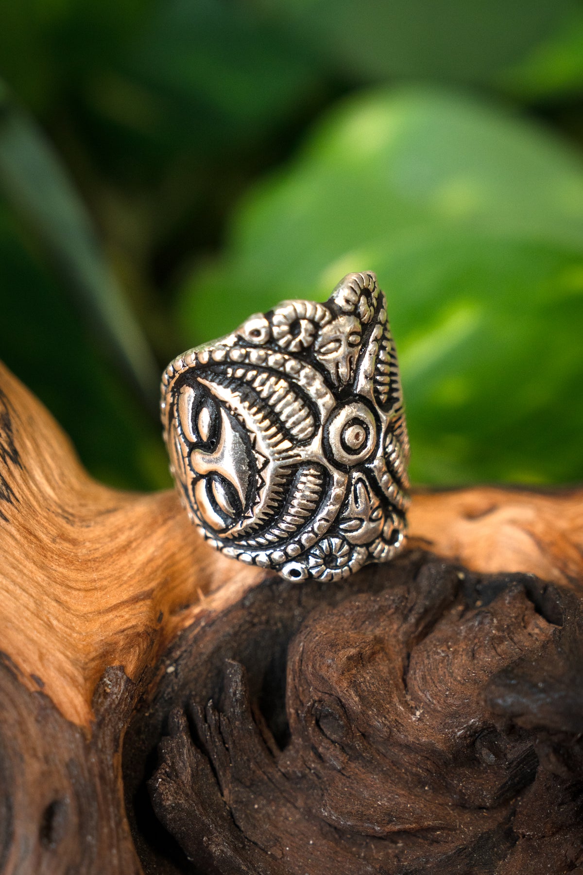 Celtic La Tene ring, silvered bronze