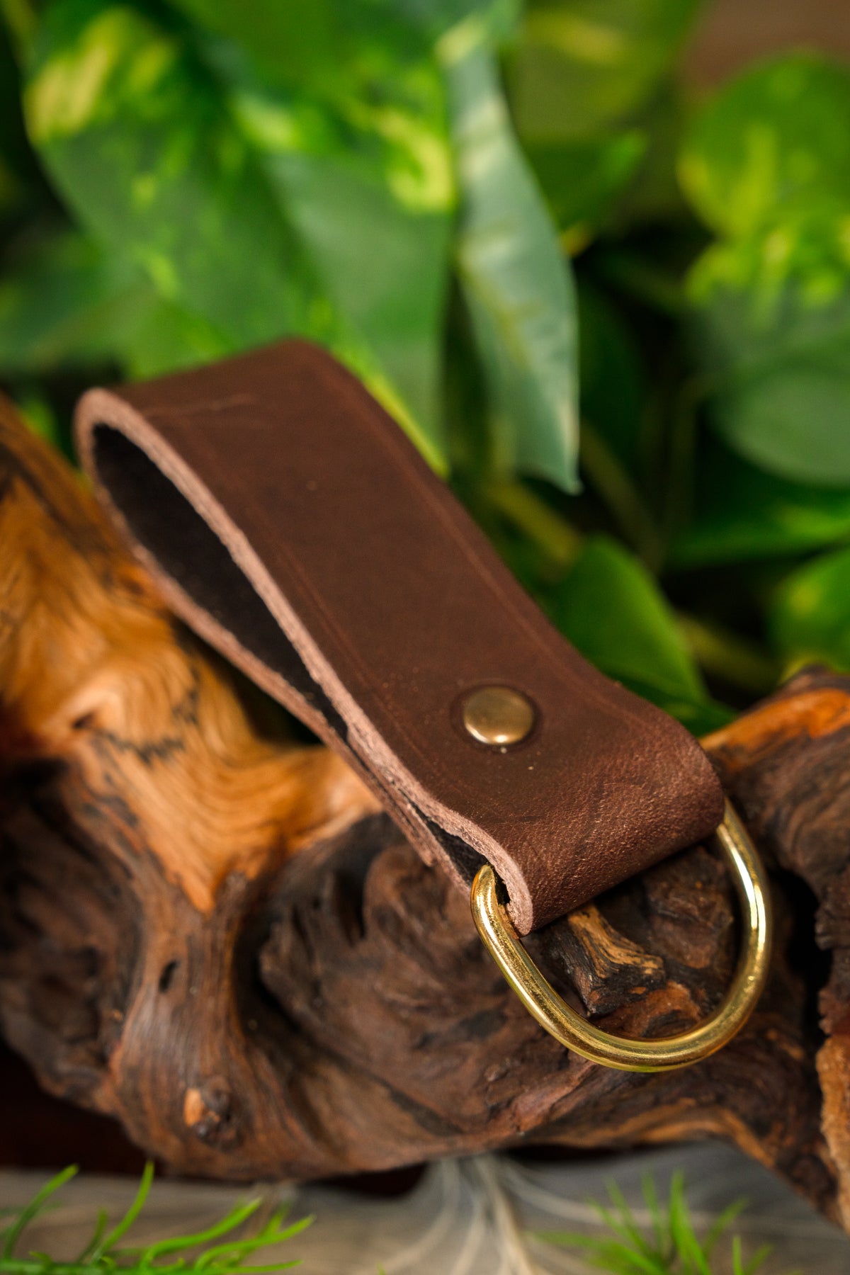 Belt holder for accessories, brown