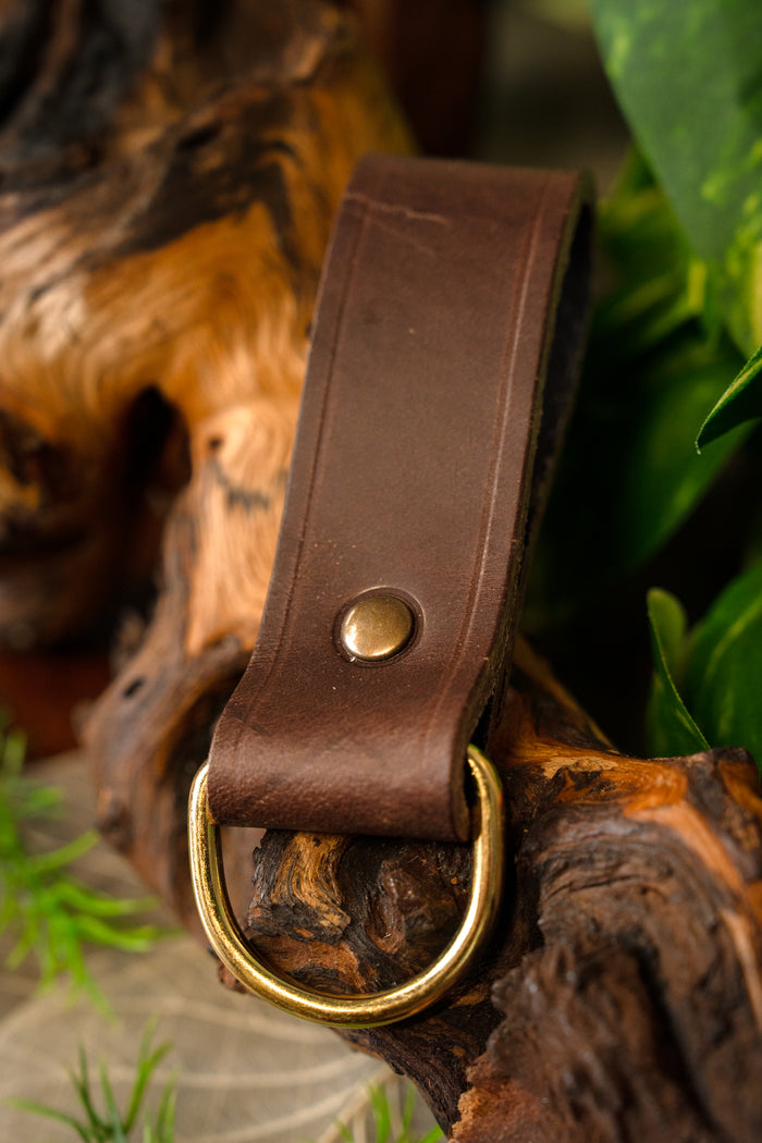 Belt holder for accessories, brown