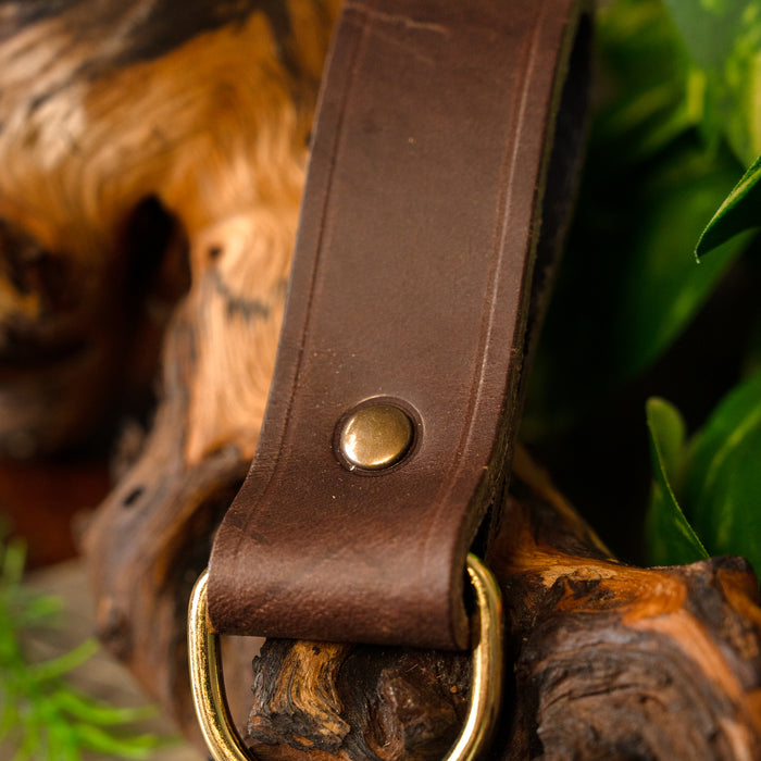 Belt holder for accessories, brown