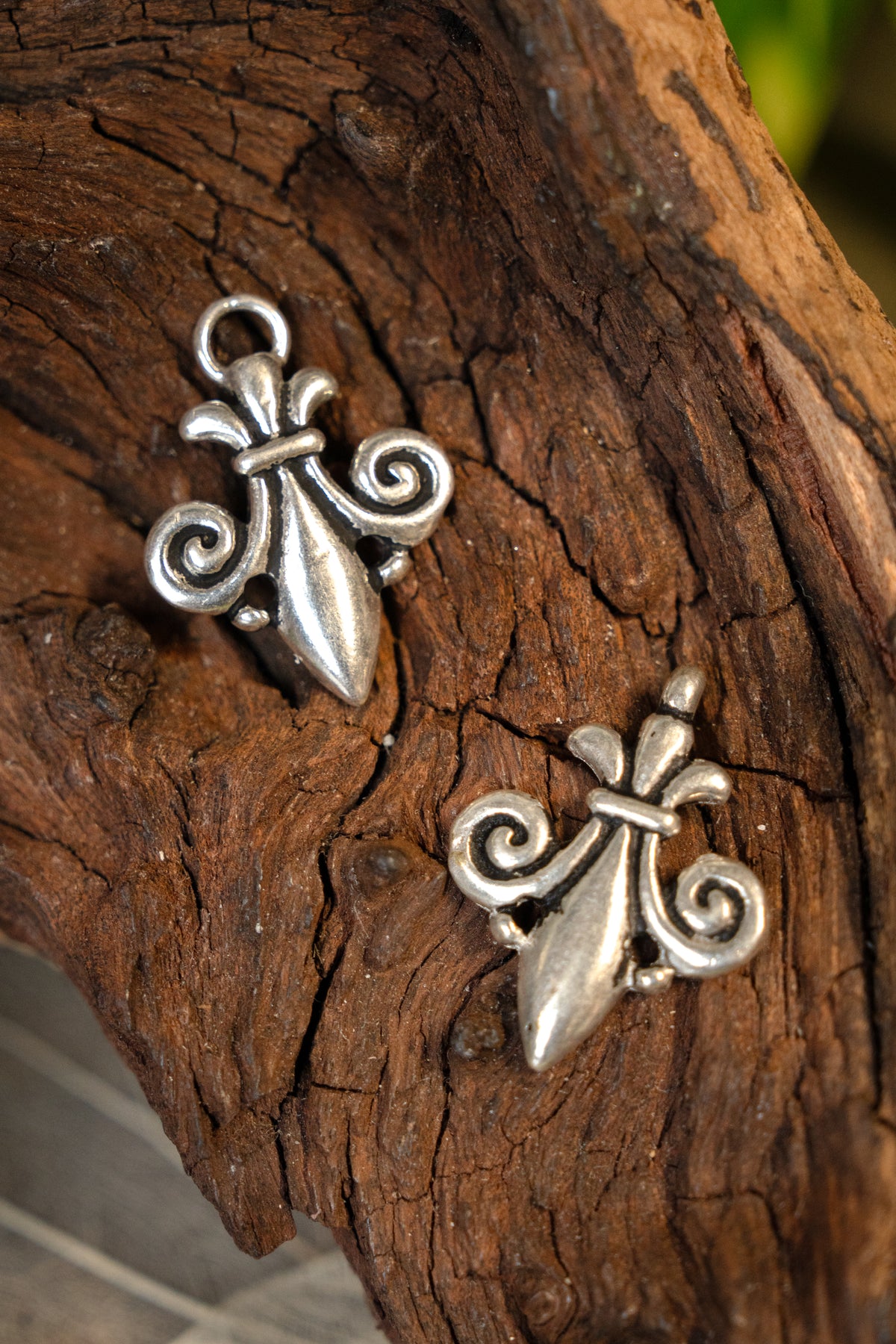 Cloak clasp fleur de lys, silvered bronze