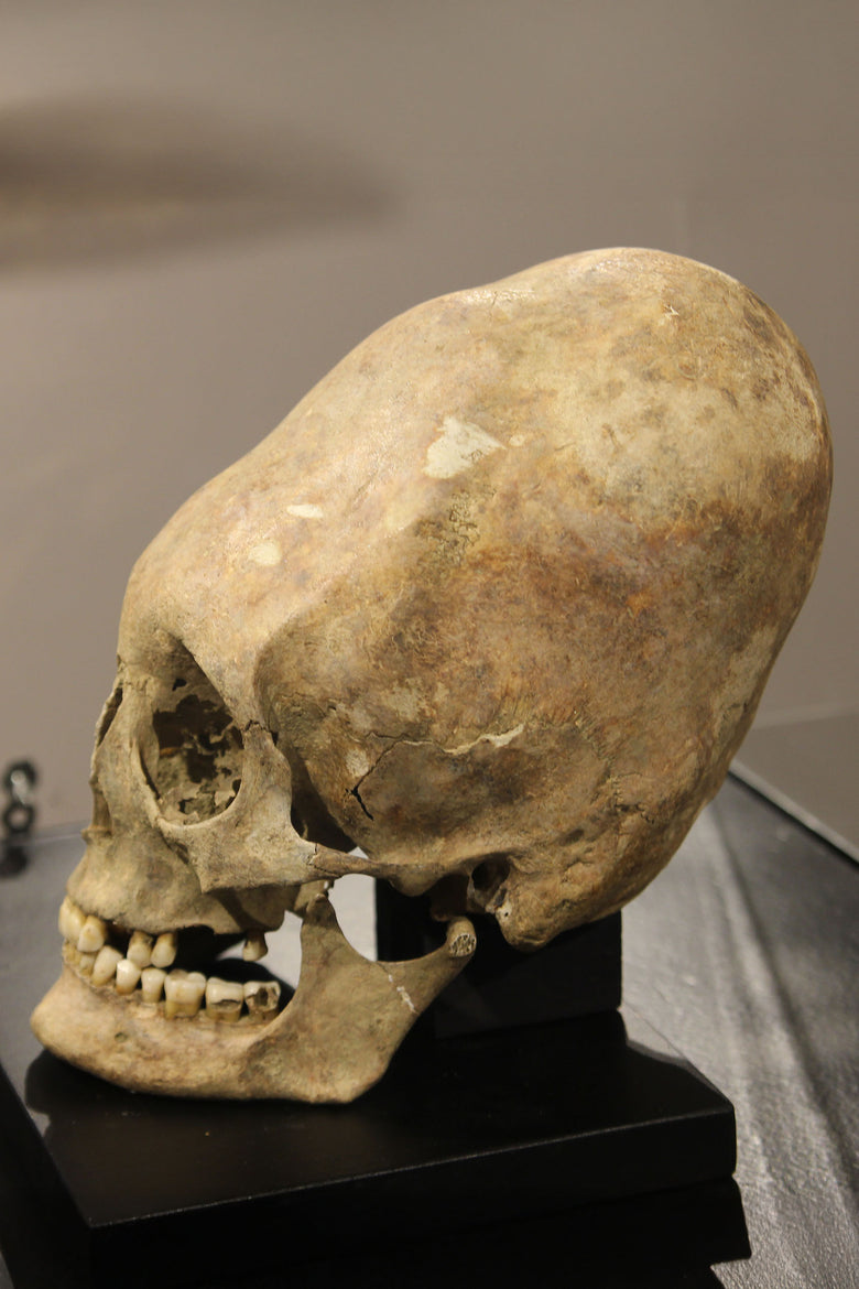 Introduction: Nomadic peoples in the Migration Period