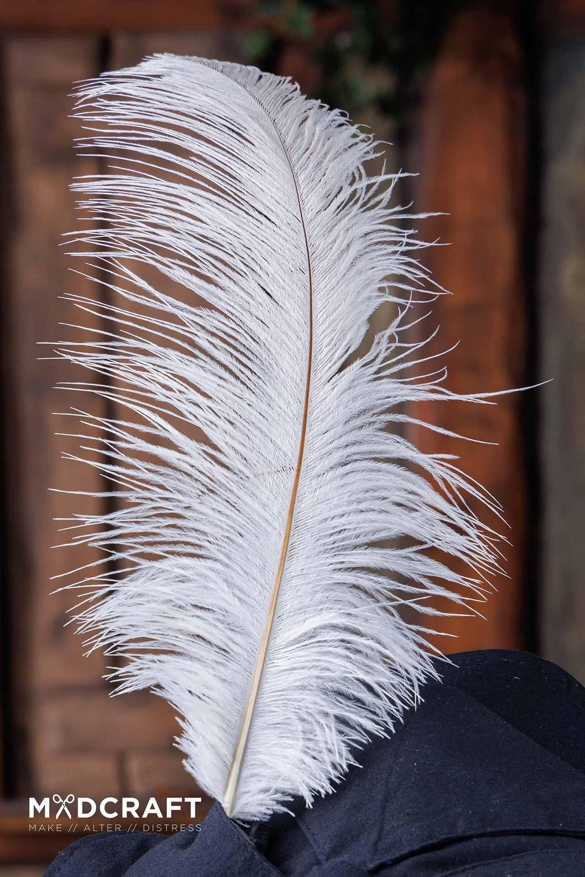 Ostrich feather 45-50 cm, white