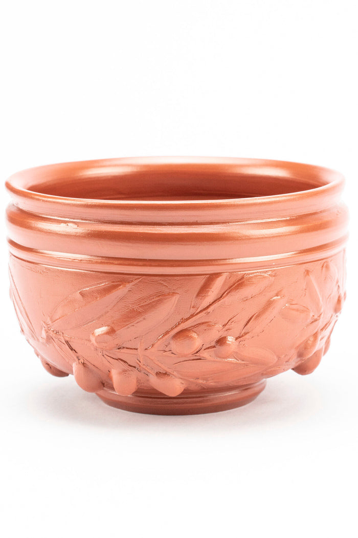 Terra sigillata cup with olive branch