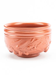 Terra sigillata cup with olive branch