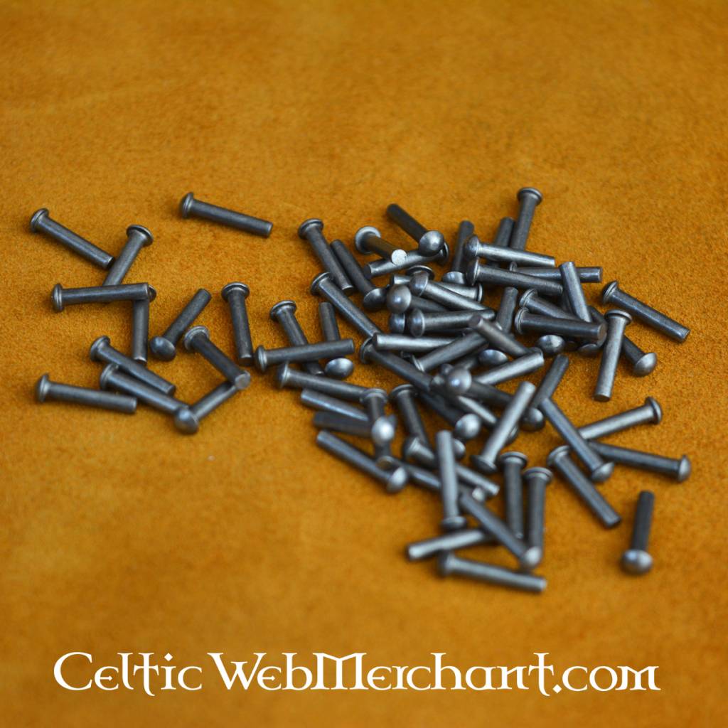 100 steel rivets 12 mm