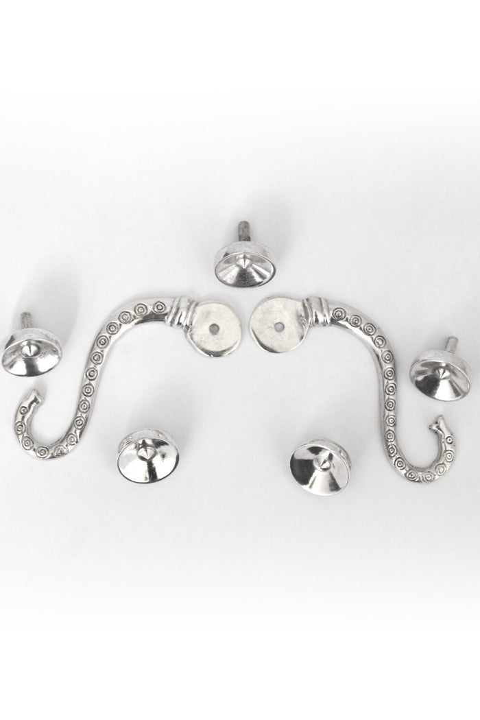 Hooks for Lorica hamata Chassenard