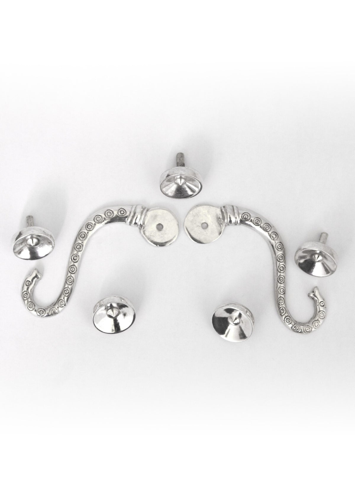 Hooks for Lorica hamata Chassenard
