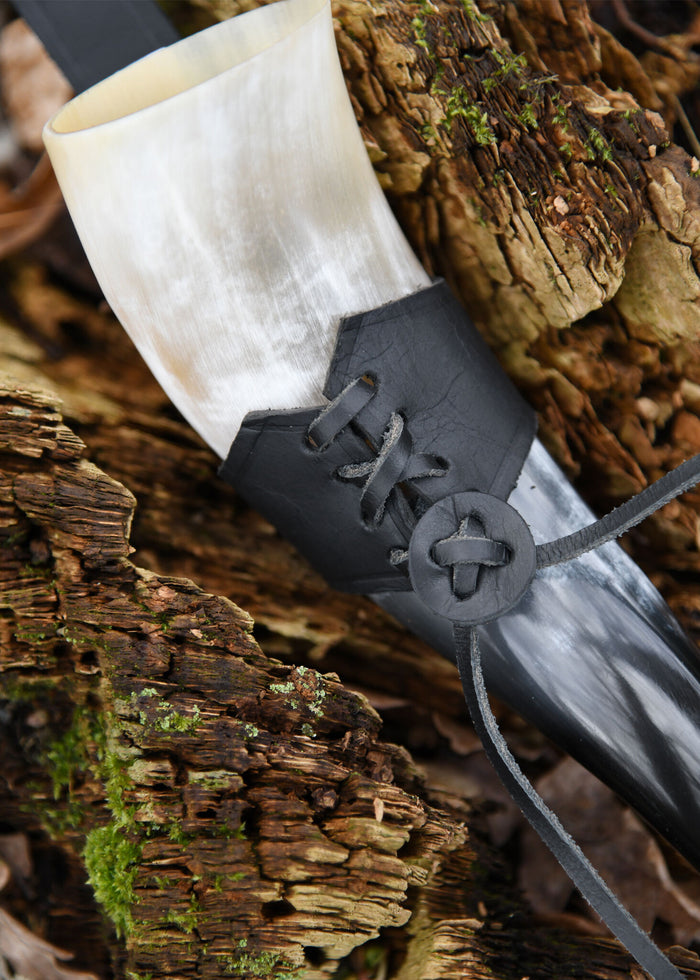 Drinking horn holder